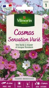 Cosmos Sensation Varié
